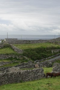 Inis_Oirr_landscape-web